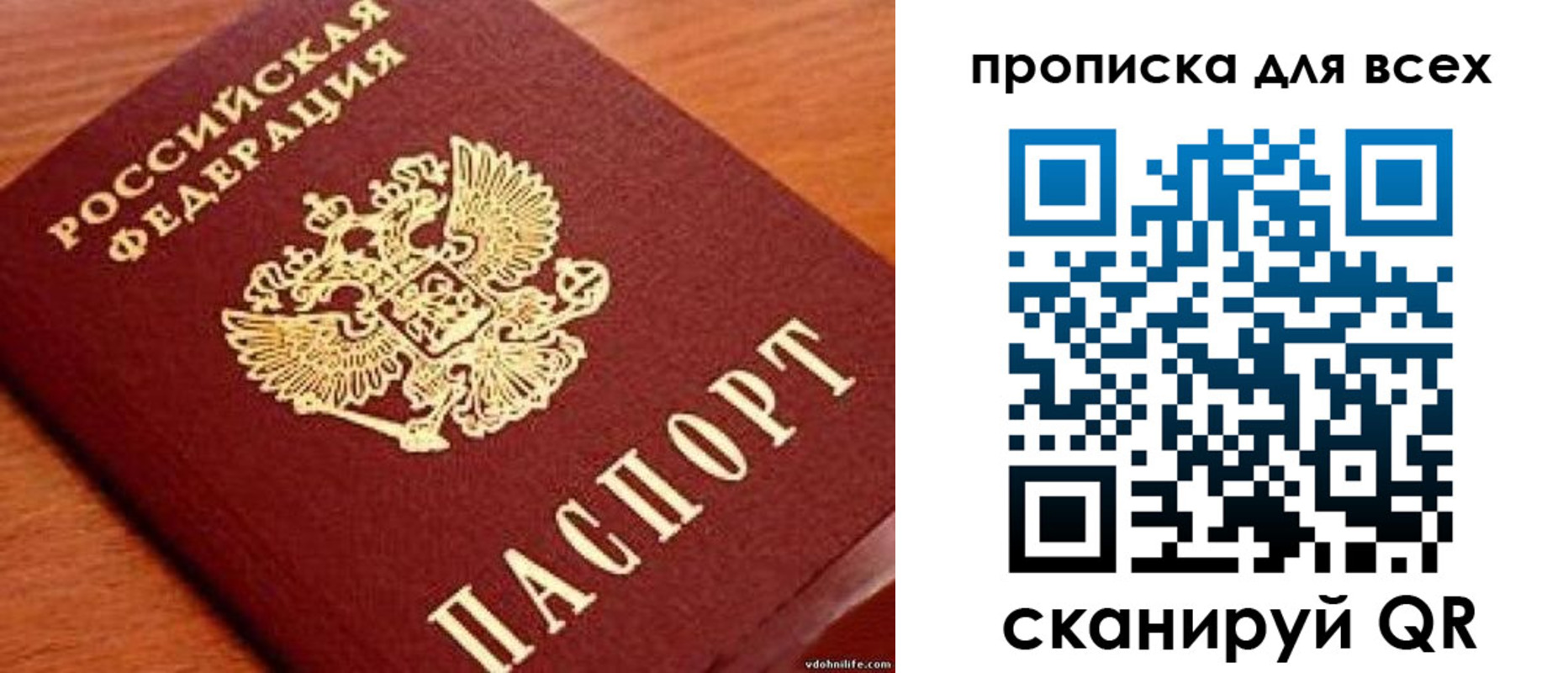 где прописаться в Кингисеппе